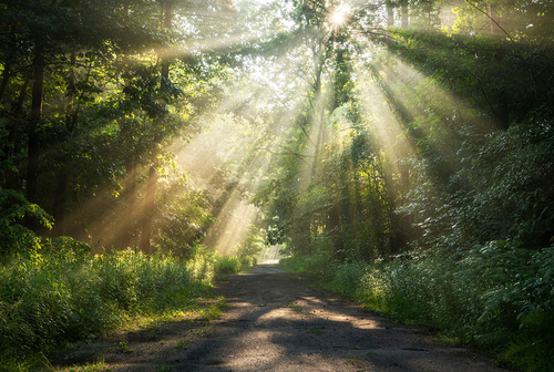 Piotr Krzeslak - stock.adobe.com